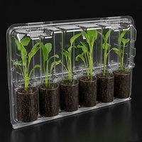Boîte de transport en plastique PET transparent à 6 cavités pour plantes vivantes, emballage blister pour pépinière