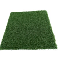 Échantillon Gratuit - Tapis de Gazon Synthétique Décoratif Très Vendu - Moquette d'Herbe Artificielle Économique pour Jardin