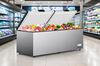 Congélateur horizontal commercial grande capacité à ouverture par le haut WKN BD-350, congélateur profond certifié CE/CB, contrôle électronique, fabrication OEM