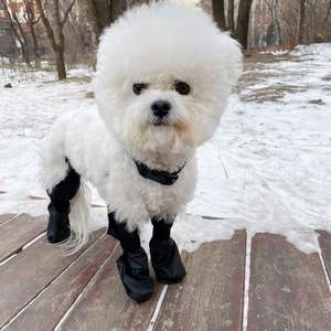 Bottes à bretelles réglables pour chiens hiver <span class=keywords><strong>neige</strong></span> pluie randonnée <span class=keywords><strong>pattes</strong></span> protecteur extérieur marche <span class=keywords><strong>chien</strong></span> bottes chaussures - Product Image 2