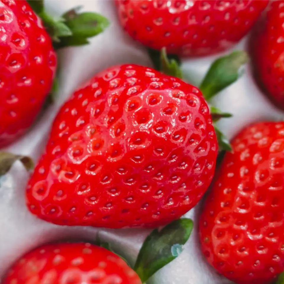 Japanese high quality big size whole strawberry fresh fruit producer