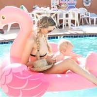 Flotteur gonflable géant en forme de flamant rose INTEX 57558 pour adultes