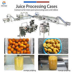 Juice Extractor <b>Machine</b> Prune Mango Apple Juice Crushing <b>Machine</b> for Commercial Use 0.5-5t/h Capacity - Product Image 4