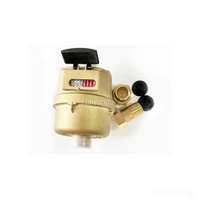 1/2 Inch Brass Body Volumetric Piston Water Meter