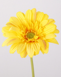 สีเหลือง