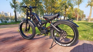 Vélo électrique Eahora Romeo Pro personnalisable avec moteur puissant 2*120n-M 48v 60ah, batterie grande capacité, cadre en acier, modèle Mountain Romeo Romeo R - Product Image 2