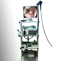 Caméra de gastroscope d'endoscope vidéo portatif d'instrument vétérinaire professionnel d'ANIMAL FAMILIER