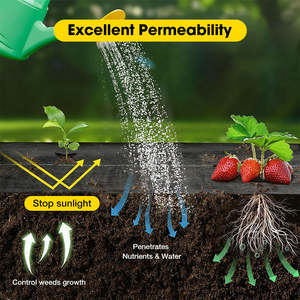 Película de Plástico Negro Biodegradable para Agricultura, para Cultivo de Tomates, Extrusión y Trefilado de Tela PP 70gsm-200gsm <span class=keywords><strong>CHAQ</strong></span> - Product Image 2