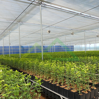 Complete turnkey oplossing voor grote schaal groenten- en sierplantenteelt in multi-span commerciële kassen met PE-folie afdekking