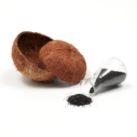 Charbon actif de noix de coco pour le raffinage de l'or, traitement et purification, qualité alimentaire, pour l'exploitation minière de l'or, ANS-YK, pureté 100%, haute résistance, pH 8-11