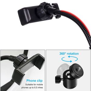 Lampe annulaire RVB 26cm 10 pouces avec support de téléphone <span class=keywords><strong>15</strong></span> couleurs pour lampe de photographie vidéo YouTube de maquillage TikTok - Product Image 3