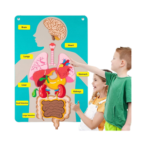 Craftstory Juguetes Educativos Sensoriales para Niños Pequeños, Tablero <span class=keywords><strong>de</strong></span> Fieltro para Enseñar las Partes del Cuerpo, Manualidades <span class=keywords><strong>de</strong></span> Madera, 5-7 Años, Suministros para Guardería - Product Image 1