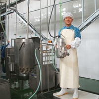 Équipement d'abattoir pour bovins, scie à découper la viande de bœuf à mouvement alternatif - I, acier inoxydable, moteur à roulement à billes haute productivité pour