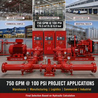 Ensemble de pompe à incendie électrique diesel 750 GPM 100 PSI avec pompe jockey pour système de protection incendie