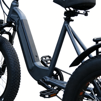 Tricycle électrique avec panier de chargement arrière, batterie lithium 36V, moteur roue arrière, tricycle cargo adulte pour la livraison à domicile et les courses