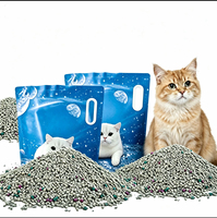 OEM 5kg Bentonite Cat Litter dengan Rendah Debu, Cepat Menggumpal & Mengontrol Bau untuk Kucing