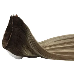 Wholesale Virgin Hair Brazilian Remy Hair Extensions Hair halo in extensions for woman