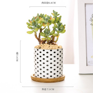Nouveau géométrique noir et blanc succulent pot de fleur en <span class=keywords><strong>c</strong></span>éramique pot de fleur produit de <span class=keywords><strong>droit</strong></span> <span class=keywords><strong>d</strong></span>'<span class=keywords><strong>auteur</strong></span> bassin en <span class=keywords><strong>c</strong></span>éramique - Product Image 6