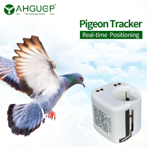 AHGUEP Brand Waterproof IP67 GPS Tracker for Racing Pigeons 4G <strong>Network</strong> GSM GLONASS <strong>Android</strong> LBS Birds Pigeon Beidou AGPS Magnetic - Product Image 6