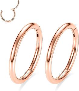 Alta calidad 18g 316L Acero quirúrgico Hipoalergénico Clicker Pendientes Segmento con bisagras Aro Anillos para la nariz - Product Image 3