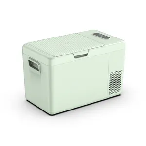 Alpicool Multi-colore S25 veicolo elettrico refrigeratore frigo LED Mini congelatori auto casa Hotel cucina