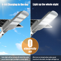 Lampadaire Solaire Extérieur 100W 150W 200W 250W, Étanche IP65, Lampe Routière LED avec Batterie LiFePO4 et Panneau Monocristallin