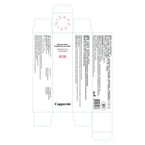Crema Iluminadora Mineral Natural Cappuvini, <span class=keywords><strong>Corrector</strong></span> Facial de Larga Duración, No se Desvanece Fácilmente, Tridimensional, <span class=keywords><strong>para</strong></span> Manchas y <span class=keywords><strong>Ojeras</strong></span> - Product Image 4