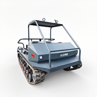 Véhicule 4 places électrique VTT/utv Dune alimenté par batterie Buggy de plage électrique Prix Véhicule électrique sur chenilles Réservoir pour parc à thème