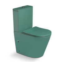 Nouveau modèle d'appareils sanitaires en céramique deux pièces salle de bain Wc toilette vert mat eau placard sans monture salle de bain toilette