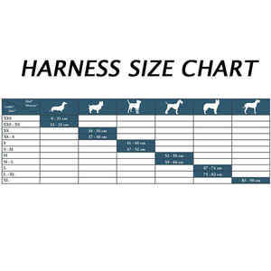 Pabrikan penjualan paling laris tali kekang anjing peliharaan dapat diatur tali anjing dengan bantalan nilon nyaman untuk jalan-jalan luar ruangan - Product Image 6