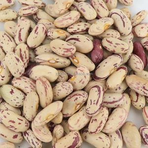 Frijoles Pintos Frijoles de riñón moteados ligeros secos orgánicos Frijoles de azúcar - Product Image 3