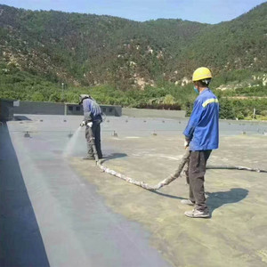 Pulvérisation de polyurée imperméable Revêtement de polyurée sans pollution pour les toits extérieurs - Product Image 4