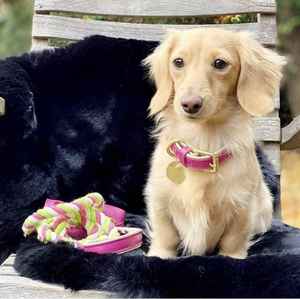 Laisse pour chien en corde tressée faite à la main de 5 pieds avec poignée en cuir véritable de qualité supérieure, confortable et durable, 100% coton naturel - Product Image 3