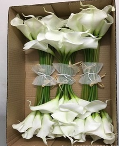 ดอกลิลลี่คาลาลิลลี่ประดิษฐ์สัมผัสของจริงขนาด70ซม. สินค้าขายส่งทำจากโรงงาน - Product Image 5