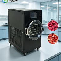 Huis-tuin-en-keuken vacuümvriesdroger kleine vriesdroogmachine voor fruitverwerking kleine vriesdroogmachine