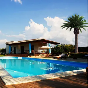 游泳池花园景观装饰岛户外人造金丝雀日期棕榈树