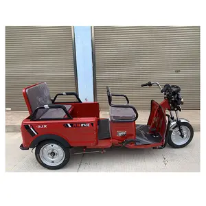 Small style electric tricycle 3 wheel trike electric with fliping storage box for cargo & passenger