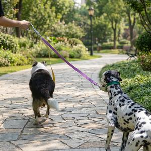 Summa Handle <b>Dog</b> Leash Rivet Durable Eco-Friendly Solid Pattern Waterproof Washable TPU Material - Product Image 3