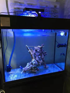 Lumière LED pour aquarium récifal 30W A029 Aqua Knight <span class=keywords><strong>V1</strong></span> Lumière LED marine pour corail d'eau salée Contrôle tactile pour nano aquarium LPS SPS FOT - Product Image 5