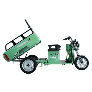 Elektrische Vrachtdriewieler Met Industriële Sterkte Met 500Kg + Laadvermogen - Product Image 2