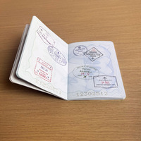 Impression de logo personnalisé, logo UV spot, couverture de passeport de sécurité, livret de passeport, livrets couleur personnalisés