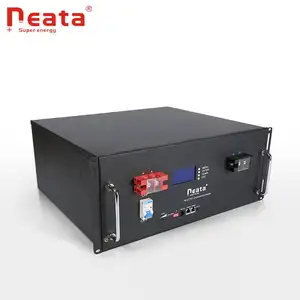 Neata nuovi arrivi dispositivo di accumulo di energia 51.2V 200Ah LiFePO4 modulo sistema solare portatile batteria di alimentazione G