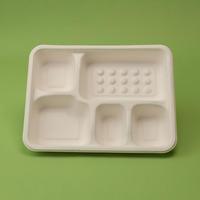 Barquettes alimentaires jetables en pulpe de bagasse à cinq compartiments, nouveau style, assiettes jetables en papier TKA