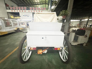 Buggy électrique de tourisme classique Victoria de haute qualité avec sièges confortables – Voiture de luxe pour sites touristiques et hôtels - Product Image 4