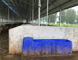 Scaldabagno per bestiame, Serbatoio d'acqua calda, <span class=keywords><strong>Abbeveratoio</strong></span> per cavalli - Product Image 6