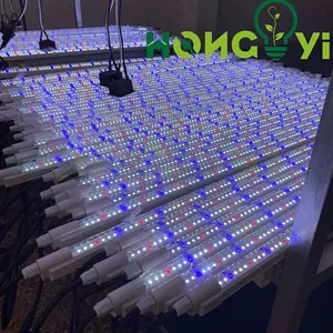 ประสิทธิภาพสูง Hongyi 2FT 4FT 18W 25W 9000K Clone LED เติบโตแสงเดซี่โซ่ 40-50 ชิ้น