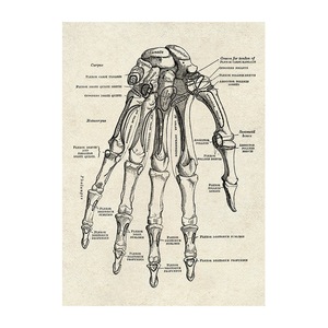 Organes du <span class=keywords><strong>corps</strong></span> <span class=keywords><strong>humain</strong></span> et pièces de squelette analyse affiche toile peinture moderne décoration de la maison peinture en gros - Product Image 6