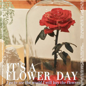 INS en çok satan büyük tek korunmuş güller akrilik kutu kubbe ile sevgililer günü mezuniyet için evlilik için kafes içinde kök - Product Image 5