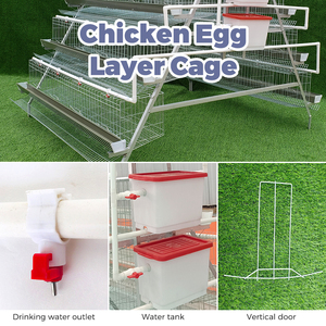Cages à poules pondeuses de <span class=keywords><strong>type</strong></span> A, 3/4 niveaux, pour l'élevage de poules pondeuses et la production d'œufs en batterie, poulaillers pour l'élevage en ferme - Product Image 2