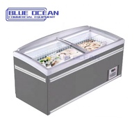 Congélateur coffre professionnel BLUE OCEAN pour aliments surgelés, 2 portes, sans givre, dégivrage automatique, température numérique